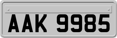 AAK9985