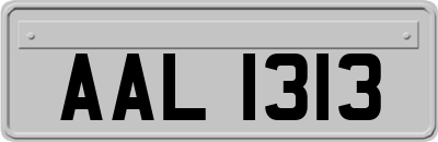 AAL1313