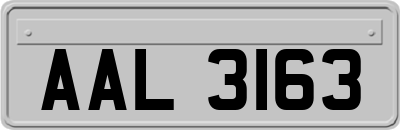 AAL3163