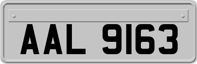 AAL9163