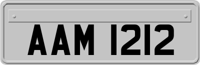 AAM1212