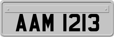 AAM1213