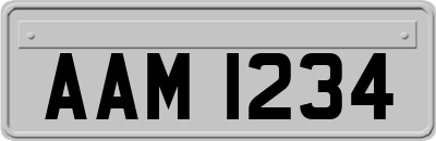 AAM1234