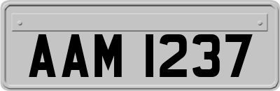 AAM1237