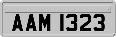 AAM1323