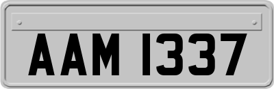 AAM1337