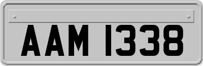 AAM1338