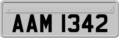 AAM1342