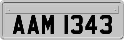 AAM1343