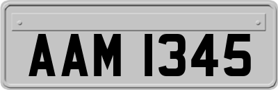 AAM1345