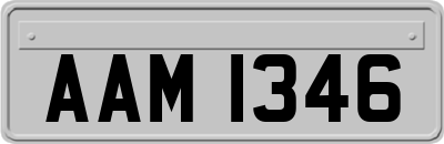 AAM1346