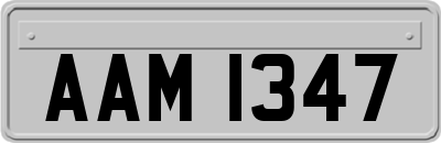 AAM1347
