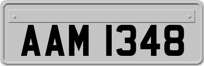 AAM1348