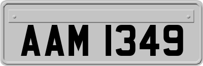 AAM1349
