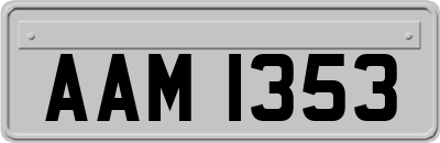 AAM1353
