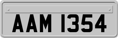 AAM1354