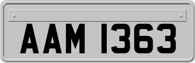 AAM1363