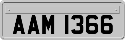 AAM1366