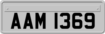 AAM1369