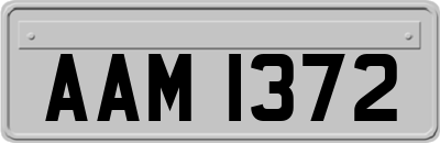 AAM1372