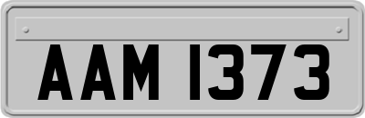 AAM1373