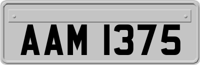AAM1375