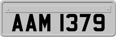 AAM1379