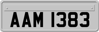 AAM1383