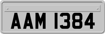 AAM1384