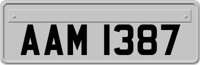 AAM1387