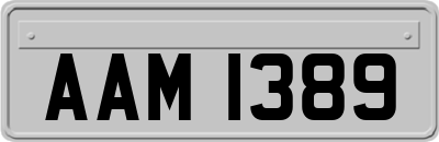 AAM1389
