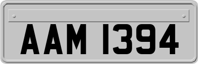 AAM1394
