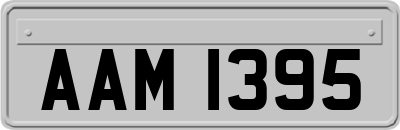 AAM1395