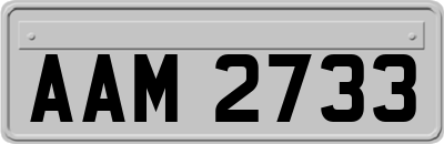 AAM2733