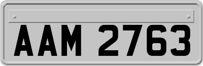 AAM2763