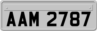 AAM2787