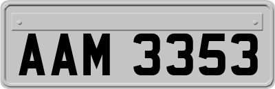 AAM3353