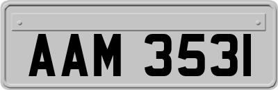 AAM3531