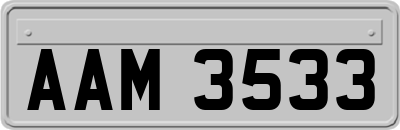 AAM3533