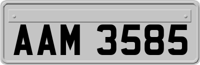 AAM3585