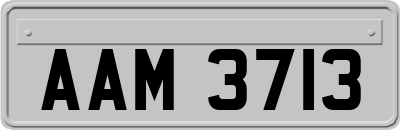 AAM3713