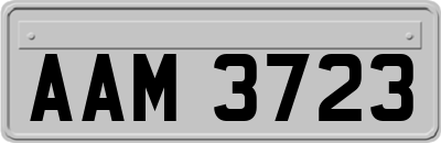 AAM3723
