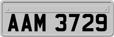 AAM3729