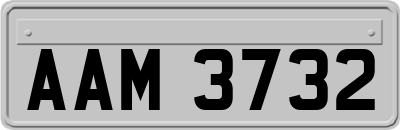 AAM3732