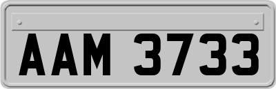 AAM3733