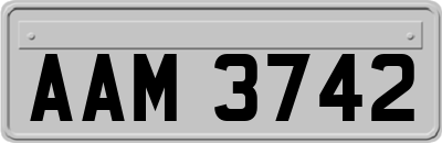 AAM3742