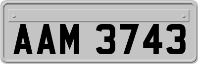AAM3743