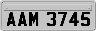 AAM3745