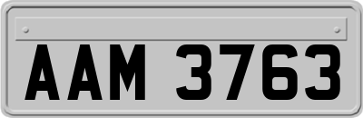 AAM3763