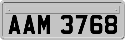 AAM3768